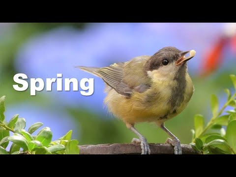 The Spring Equinox-time to rejuvenate!