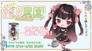 紫央なのは ShioNanohaの配信のサムネイル画像