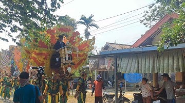 PECAK WELUT VOC RIESKA | SINGA DANGDUT ANDI PUTRA 1 | SHOW DESA LANGUT BLOK SUKAWERA KEC.LOHBENER