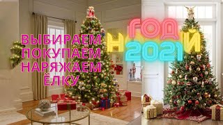 Выбираем / Покупаем И Наряжаем Елку / Санкт-Петербург / Новый Год 2021