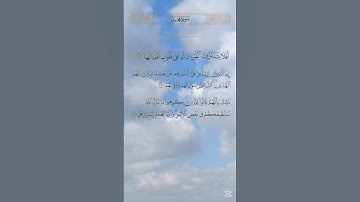 أفلا يتدبرون القران أم على قلوب أقفالها #سورة_محمد #قران القاريء الامام الذهبى