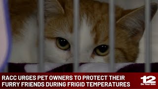 ‘Bring them indoors’: RACC urges pet owners to protect their furry friends during frigid temperat...