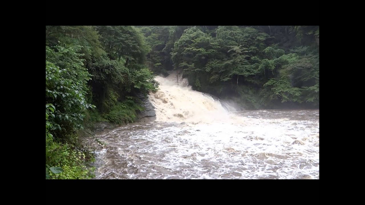 濁流の養老渓谷 粟又の滝 Youtube