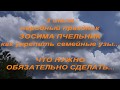 2 июля народный праздник ЗОСИМА ПЧЕЛЬНИК . что нужно обязательно сделать .народные приметы и поверья