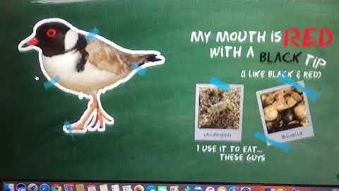 usability test iteration2