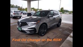 20192024 Acura RDX   First Oil Change (How To)