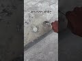 Cement Testing in Site/#cement #civilengineer#viral#construction #shortsfeed #constructionlife