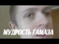 Ты за меня придурка не держи | мудрость Ивана Гамаза