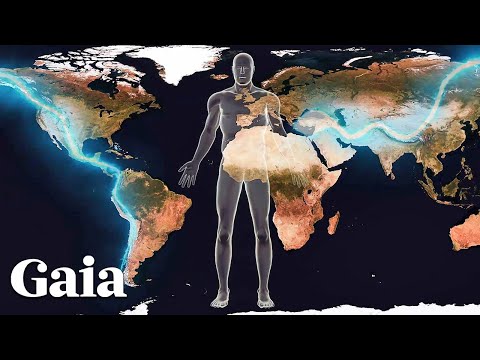 The Earth's Continents Correlate With Our Chakras and Organs