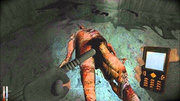 Cry Of Fear Part 5 [HD 1080p] [No Commentary!]