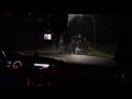 Audi A4 (B8) 3.0 TDI AGP St.2 310 HP VS. Audi A4 (B8) 2.0 TFSI REVO St.2 330 HP - 1/4 mile (402 м.)