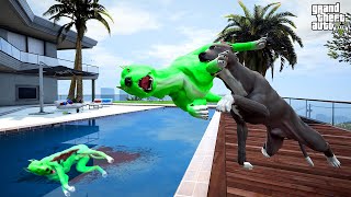 Termi̇natör Korkunç Pi̇tbull Gri̇ple Dövüşüyor - Gta 5 Pi̇tbullun Hayati