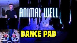 Playing Animal Well with a Dance Pad