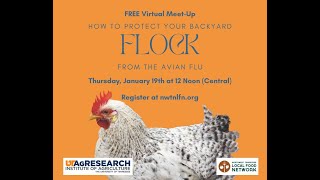 Protecting your Backyard Flock from the Avian Flu