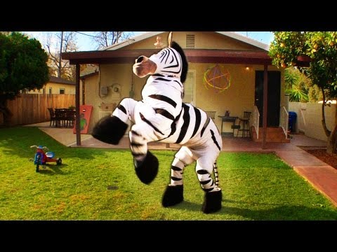 Dope Zebra - Rhett & Link (Official Original Video)