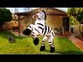 Dope Zebra - Rhett & Link (Official Original Video)