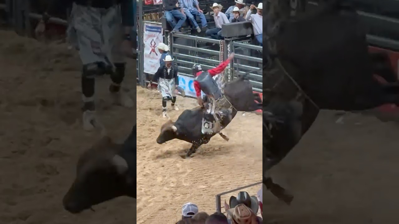 Enjoying Austin…Texas style!!  Cedar Park Rodeo at H-E-B Center, Austin!  Aug 8, 2025
