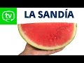 La sandía, la fruta estrella del verano