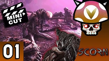 [Vinesauce] Joel - Scorn Highlights ( Part 1 )