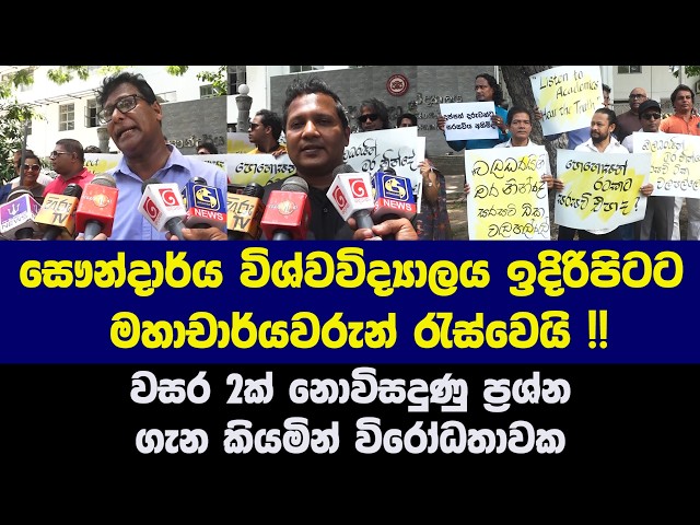 සෞන්දාර්ය විශ්වවිද්‍යාලය ඉදිරිපිට මහාචාර්යවරුන් විරෝධතාවක
