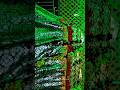 Allah Nabi Madad Ali wali Madad #shorts #ytshorts #trending