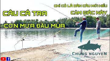 Câu Cá Tra | Cơn Mưa Đầu Mùa | Hồ Câu Cá Hải Long Vương | Chung Nguyễn Fishing