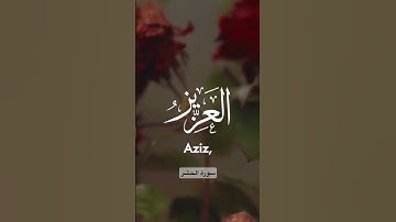 آواخر سورة الحشر #quran #قرآن #قران_كريم #shortvideo @sara_ALshaqsi