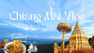 #7 Chiang Mai Thailand 🇹🇭 Travel Vlog (Part 1); Khaosoi, Doi Suthep, Local Market l  @birdiesbelly