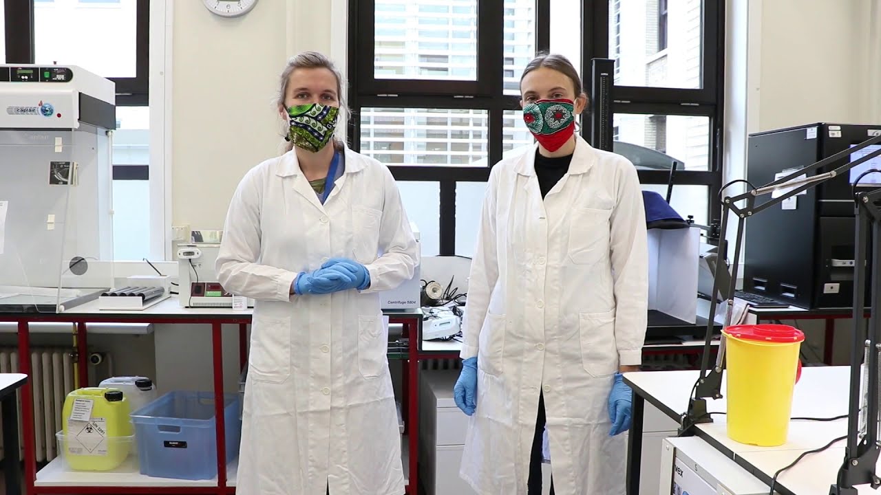 Bases du diagnostic bactériologique