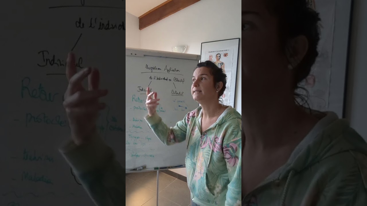 Formation Magnétisme Application "de l'individuel à plusieurs": répondre à vos problématiques de pro