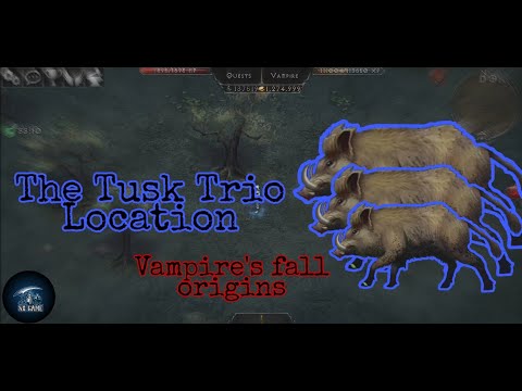 Vampire's fall: origins - The tusk trio location