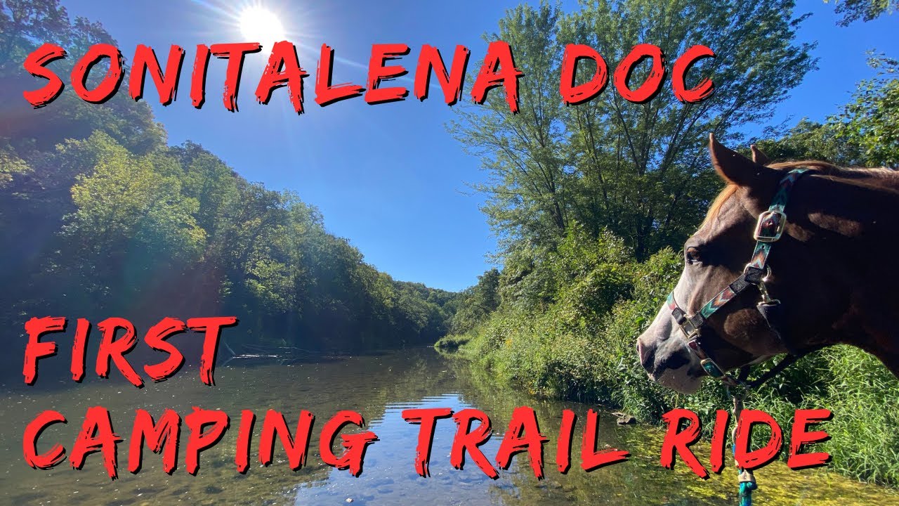 First Camping Trail Ride for Horse Sonitalena Doc at Volga River State