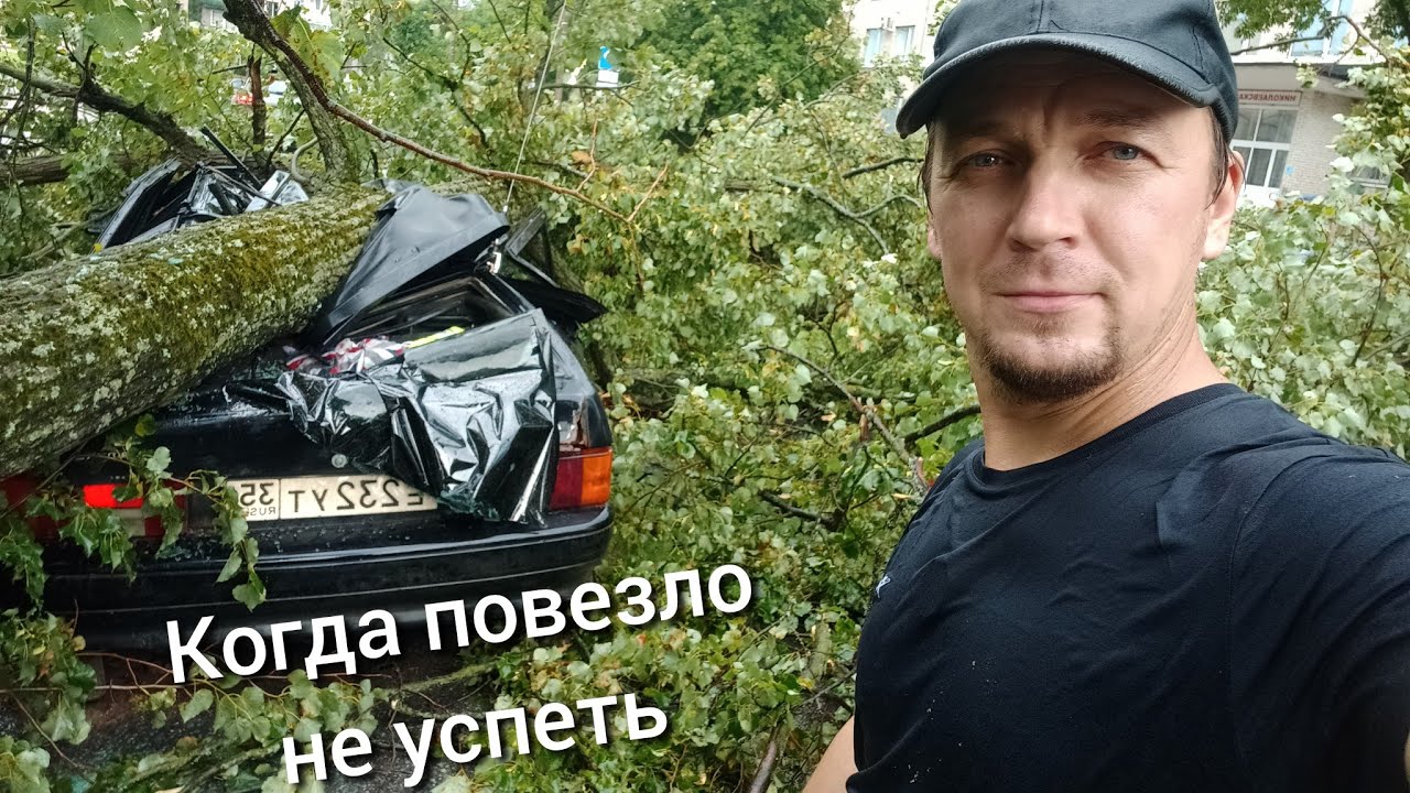 Дерево упало на машину