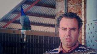 H Oinopoiia sthn Hleia(pieces video)