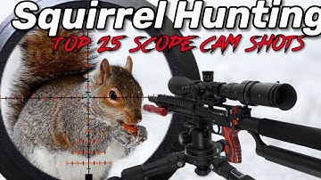 Squirrel Hunting EDgun Leshiy