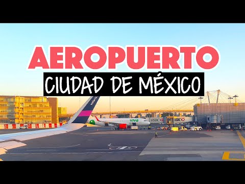 Video: ¿Dónde vuelas a la Ciudad de México?