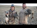 Hunting Pintails and Badgers with a Subscriber in North Dakota! Catch Clean Cook