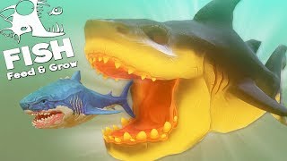 картинка: ГИГАНТСКАЯ БЕЛАЯ АКУЛА НАПАЛА НА МЕГАЛОДОНА | Feed and Grow Fish