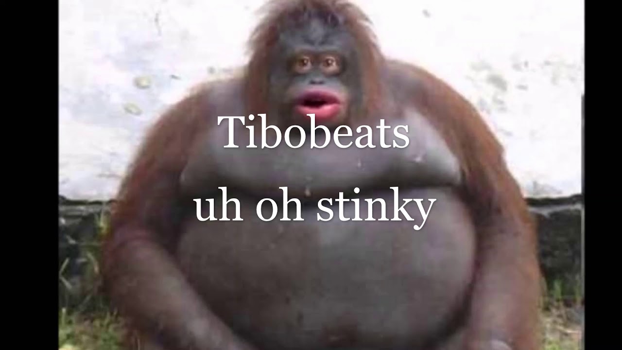Uh Oh Stinky Song YouTube uh-oh-stinky-song-youtube