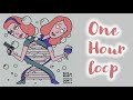 1 HOUR LOOP - Don't Look Back (feat. Kotomi & Ryan Elder) | Rick and Morty S4 E10