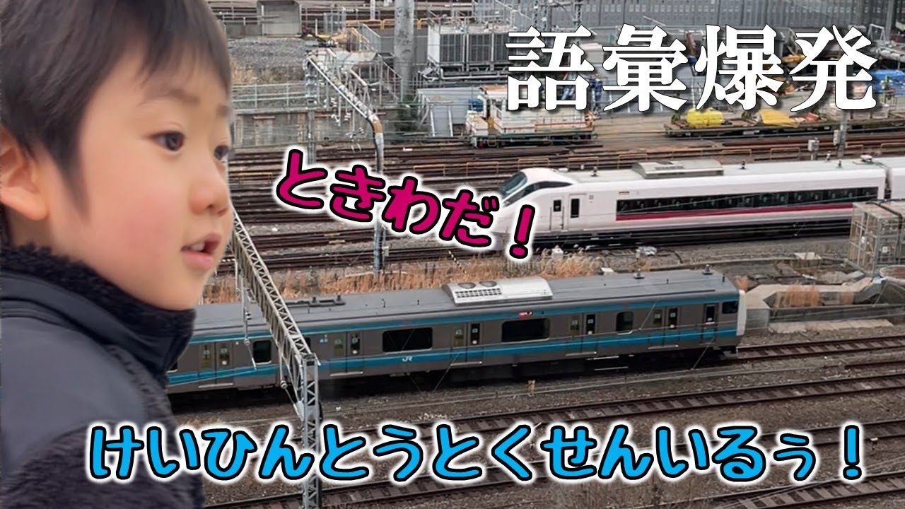 大好きな電車を見に行ったらしゃべるしゃべる！ただ診察で指摘された特性がでていました…