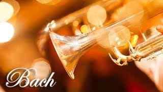 Classical Music for Studying, Concentration, Relaxation | Study Music | Trumpet Instrumental Music screenshot 2