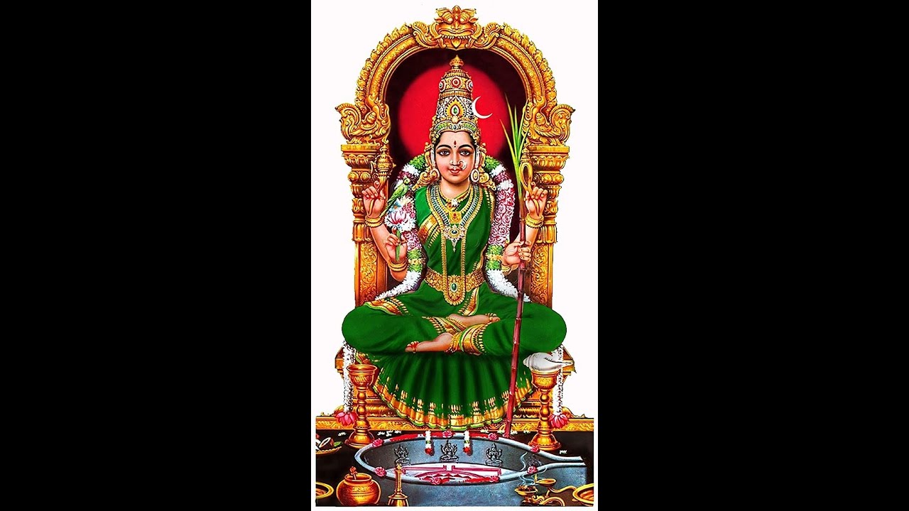 கணு உற்சவம் – நாள் 6 | அருள்மிகு காஞ்சி காமாட்சி அம்பாள் | காஞ்சிபுரம் சிறப்பு அபிஷேகம்