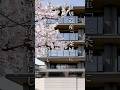 【京都に佇む邸宅】繊細な日本の美を表現した「プラウド京都二条城」のモデルルーム