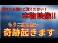 ⚠️見逃し厳禁！偶然見た人おめでとうございます❣️良いことが起きます！東京羽田最強パワースポット穴守稲荷神社 奥之宮遠隔参拝　#開運 #神社 #shrine #パワースポット