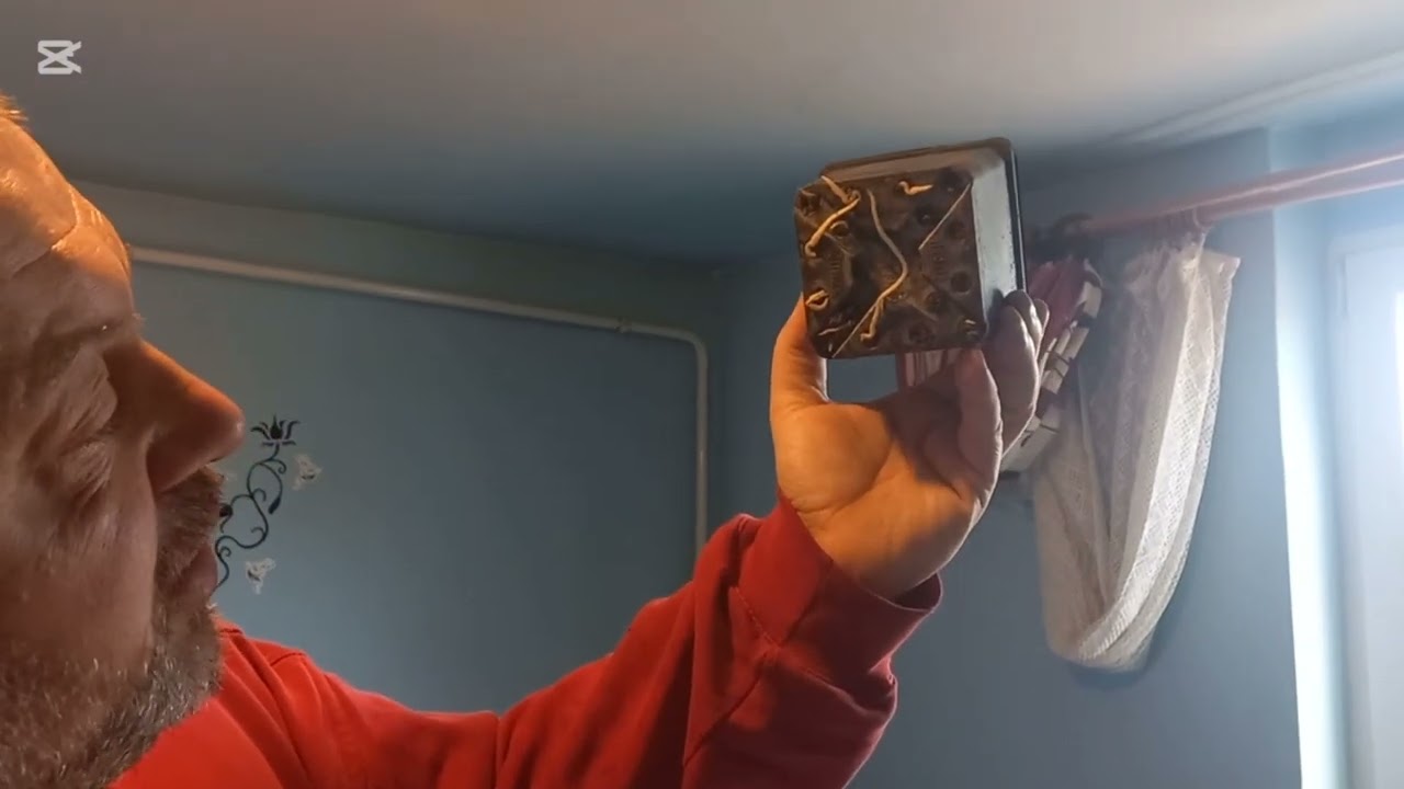 Zotyukert 54. - 1 éves szőlőtőke metszése, gyökereztetés állapotjelentése