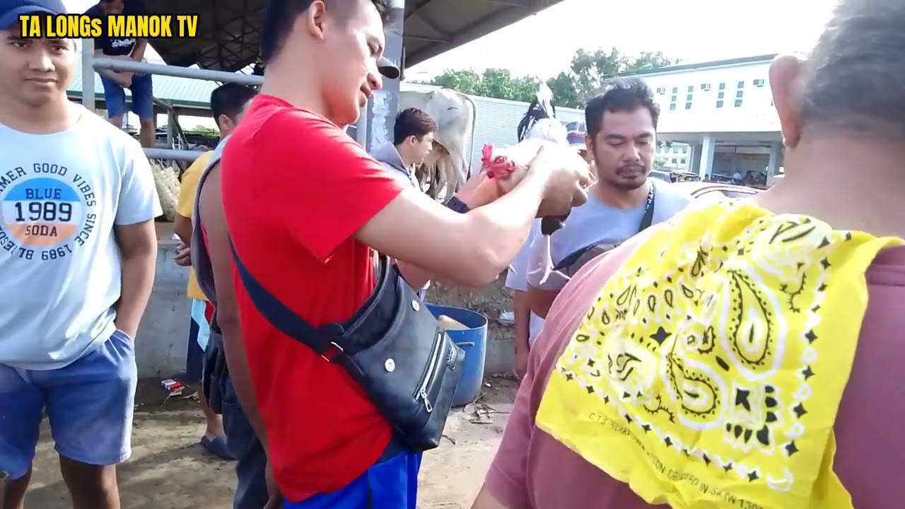Episode:Bentahan ng manok sa Padre Garcia Batangas..