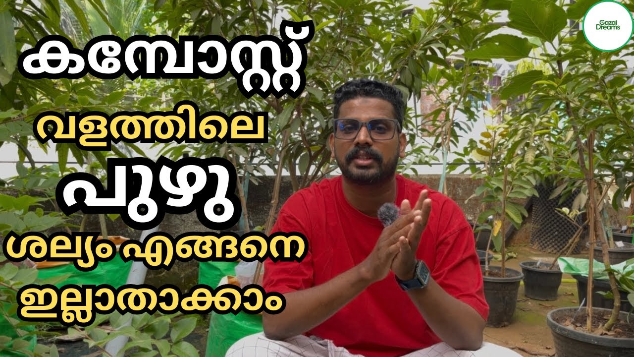 കിച്ചൺ വേസ്റ്റ് കമ്പോസ്റ്റിലെ പുഴു ശല്യം എങ്ങനെ ഇല്ലാതാക്കാം | How To Prepare Kitchen Waste Compost