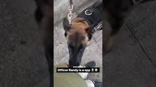 My Dawg Told On Me 💔