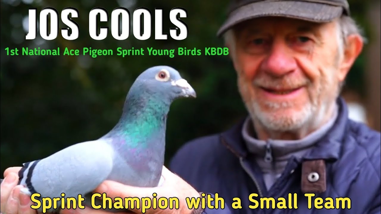 Соревнуется с командой Tienverbond из 400 человек против лучших спринтеров - JOS COOLS из Гроббен...